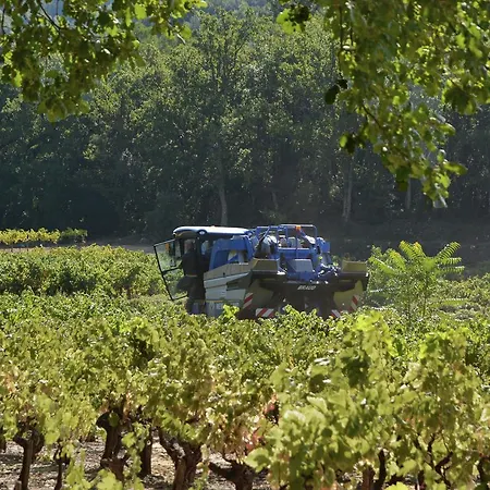 Maison Syrah * Chalabre